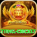 1st inning betting cricket VIP v1.6.7