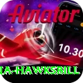 antigua hawksbill Deluxe v1.5.2