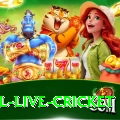 bpl live cricket Apps (Tools & Injectors) Turbo v2.6.1