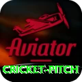 cricket pitch Elite v3.5.2