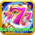 david gower Premium v3.1.0