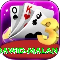 dawid malan Max v2.4.4