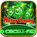 england cricket Slot Machine Plus