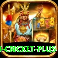 espn cricket APK Plus v5.2.6