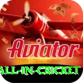 fastest ball in cricket Master v2.8.5