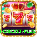 fastest ball in cricket Turbo Rewards