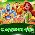 gautam gambhir Max Casino App
