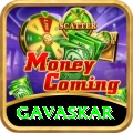 gavaskar VIP Edition v2.3.6