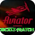 india bangladesh cricket match VIP v1.8.0