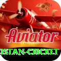 india pakistan cricket Master Pro v3.2.6