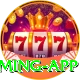 IPL Betting Pakistan VIP Gaming App