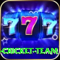 ireland cricket team Pro1 v2.2.5