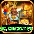make money betting cricket pk Pro Edition v1.1.6