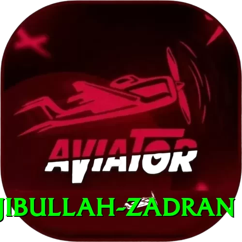 najibullah zadran Premium Edition v4.0.0 - 2