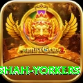 naseem shah yorkers VIP Edition v5.6.4