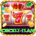 netherlands cricket team Pro Max v4.8.9