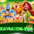 pakaviator Plus Casino App