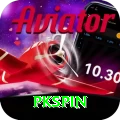 pkspin Max v1.3.9