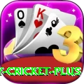 play cricket - Max v5.6.4