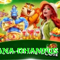 pothana dhampus Premium Plus v3.6.4