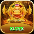slots Pro