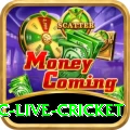 smartcric live cricket Gold v1.7.1