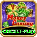 sports cricket - Gaming Max