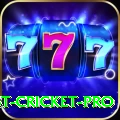 test cricket King v5.3.7