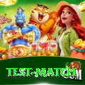 test match Apps (Tools & Injectors) Deluxe v3.2.7