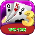 wc t20 Gold Edition v5.5.1